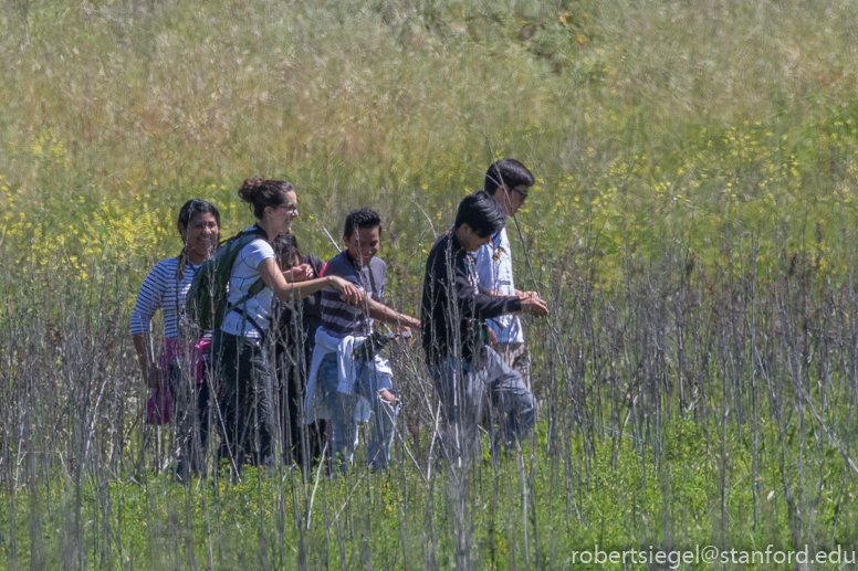 bioblitz2018